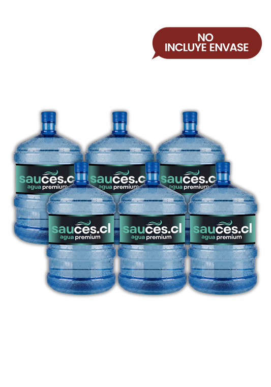 6 Recargas Agua Purificada 20L