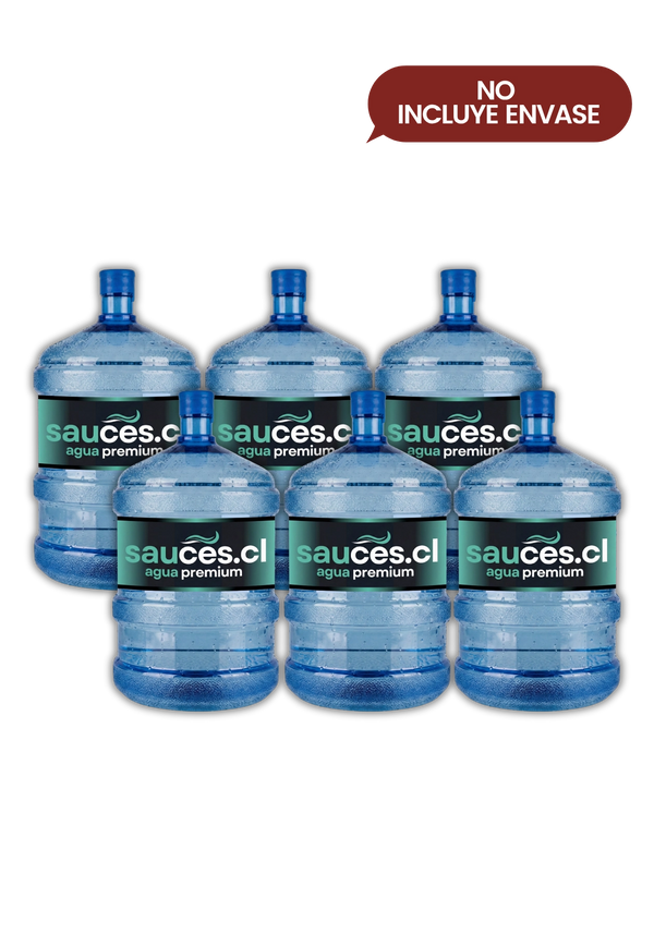 6 Recargas Agua Purificada 20L