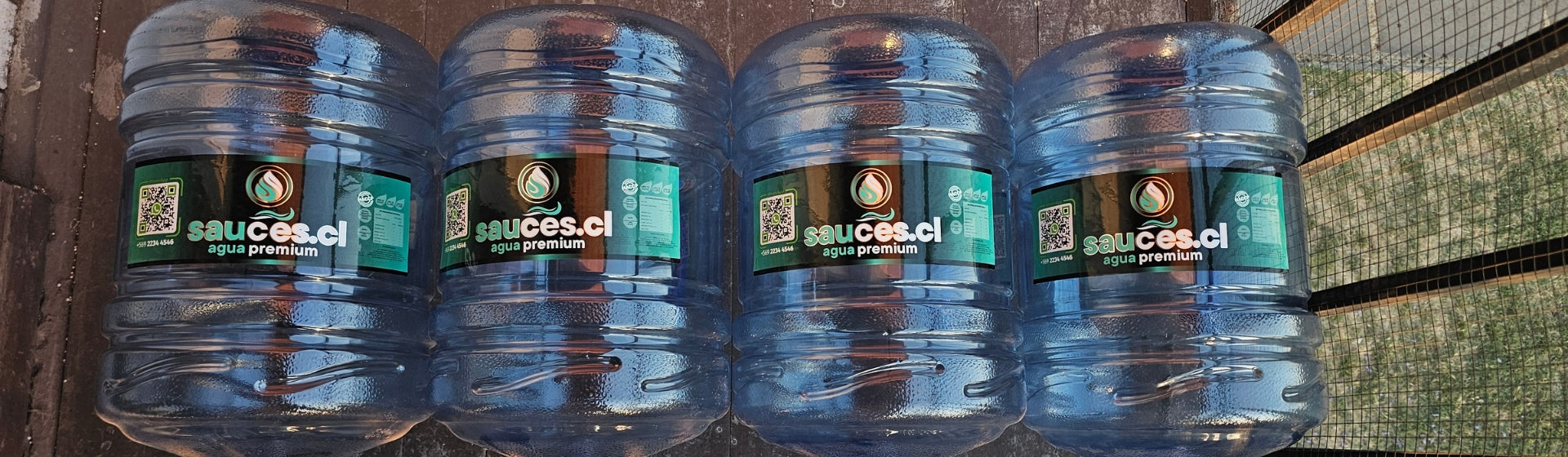 Agua Purificada