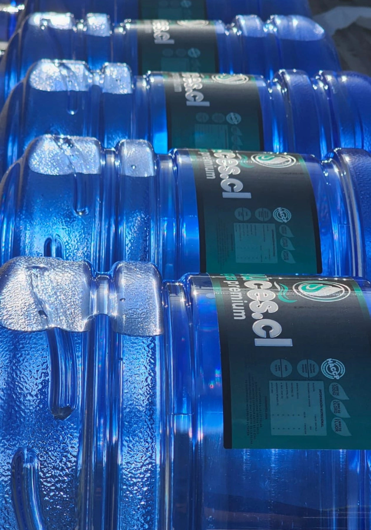 Bidones Sauces.cl de 20 L cargados para la ruta de entrega en Santiago