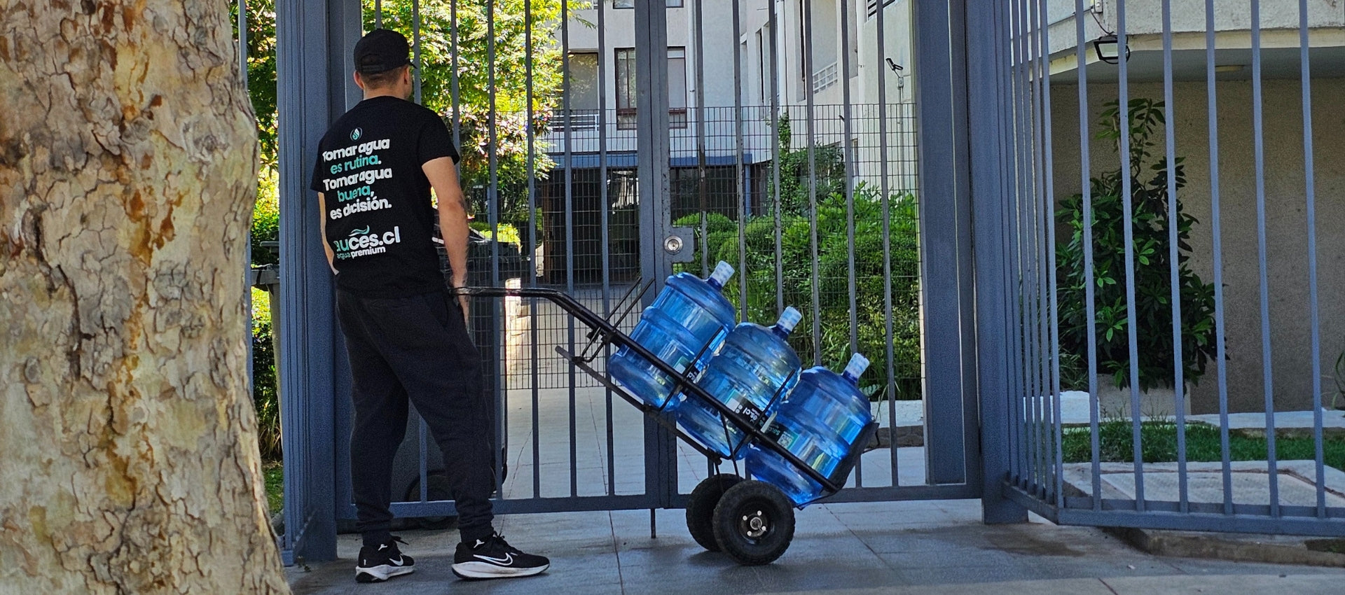 Agua Purificada en Macul: La Solución Definitiva al Sarro y el Cloro