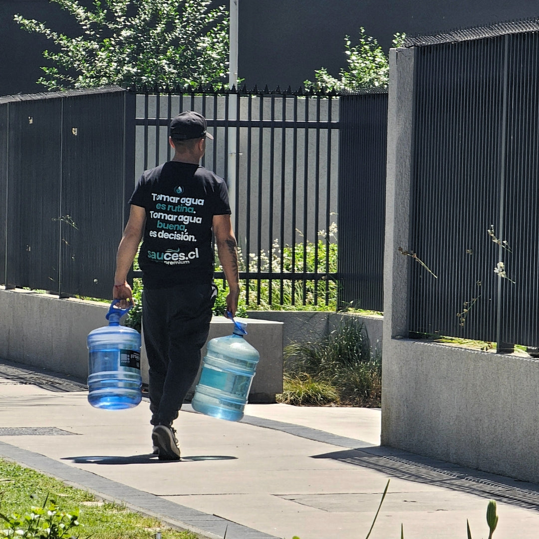Reparto de agua purificada premium a domicilio en Vitacura
