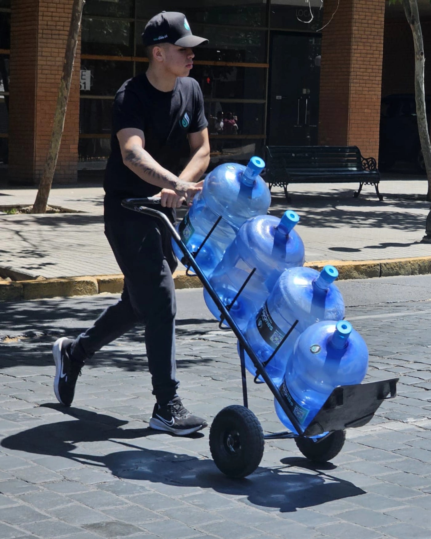Repartidor Sauces.cl trasladando bidones de agua purificada de 20 litros en yegua de carga por la calle