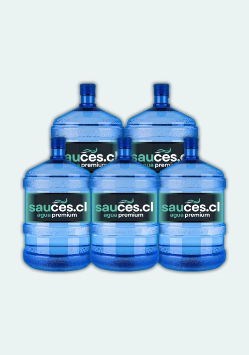5 Bidones Agua Purificada