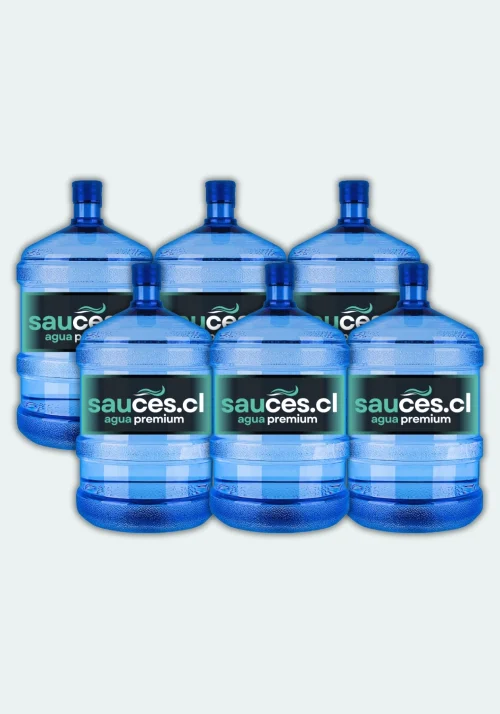 6 Bidones Agua Purificada